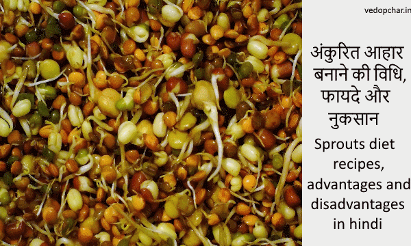 Sprouts diet recipes, advantages and disadvantages in hindi