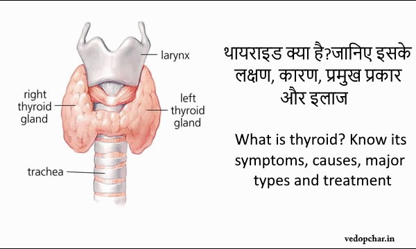 Thyroid:थायराइड क्या है? जानिए इसके लक्षण, कारण और उपचार