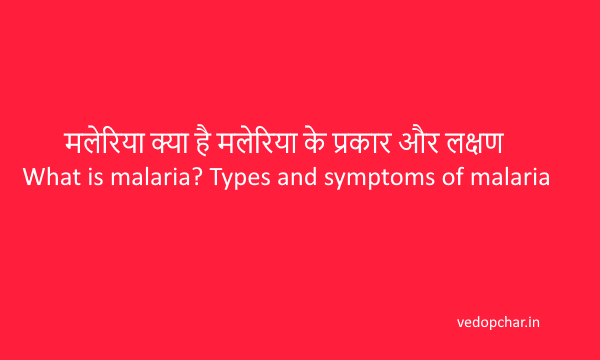 Malaria(मलेरिया) क्या है?प्रकार,लक्षण,उपचार,बचाव,इलाज