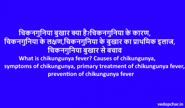 Chikungunya fever in hindi:चिकनगुनिया क्या है?कारण,लक्षण,इलाज,बचाव