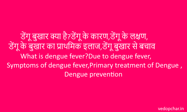 Dengue fever in hindi:हड्डी तोड़ बुखार?कारण,लक्षण,प्राथमिक इलाज,बचाव