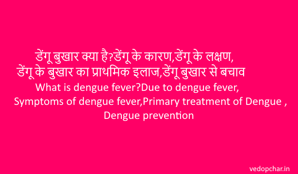 What is dengue fever?Due to dengue fever,Symptoms of dengue fever,Primary treatment of Dengue ,Dengue prevention