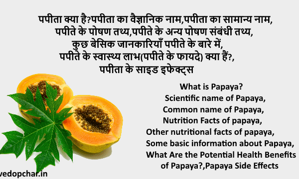 Papaya(पपीता) क्या है?फायदे,नुकशान,पोषण तथ्य