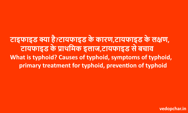 Typhoid fever in hindi:मियादी बुखार क्या है?कारण,लक्षण,इलाज,बचाव