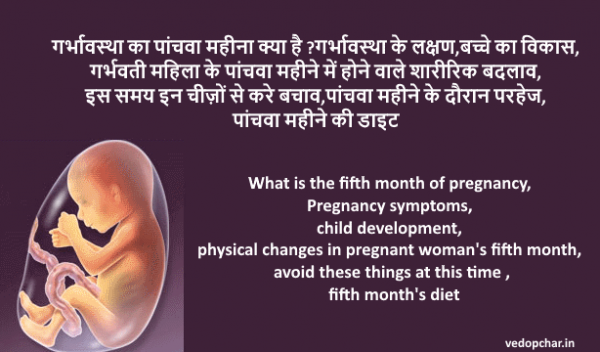 Fifth month pregnancy in hindi:गर्भावस्था का पांचवा महीना