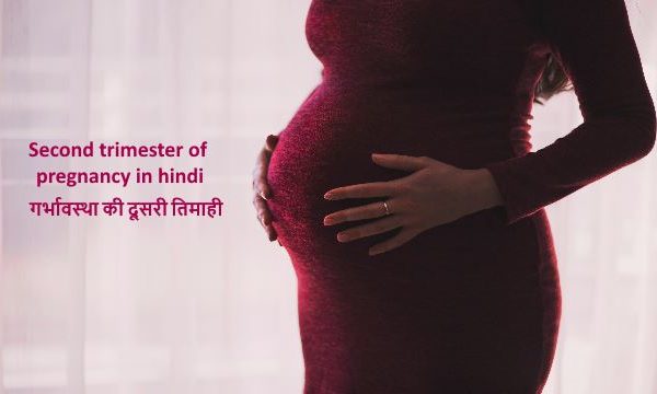 Second trimester of pregnancy in hindi:गर्भावस्था की दूसरी तिमाही