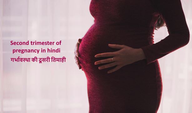 Second trimester of pregnancy in hindi