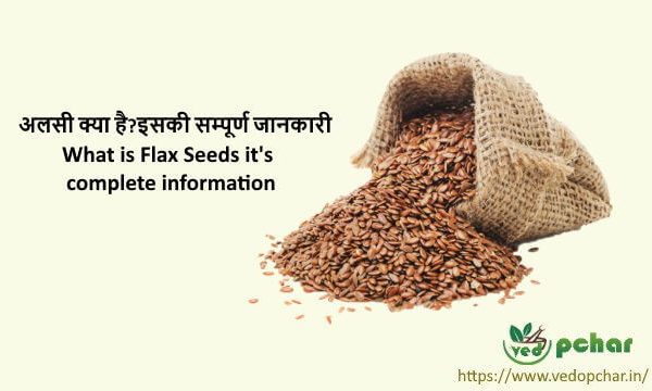 Flaxseed in Hindi-  अलसी क्या है?इसकी सम्पूर्ण जानकारी