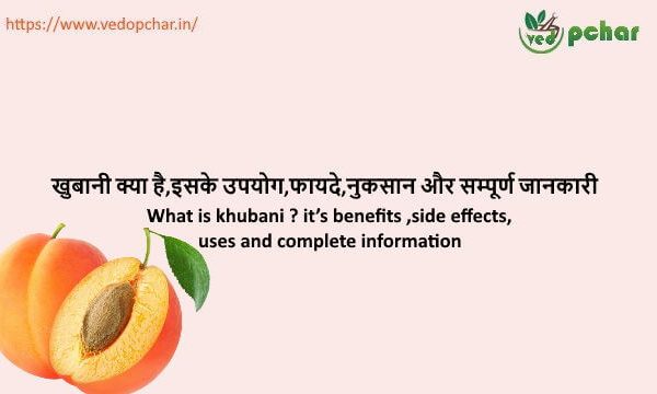 Apricot in Hindi : खुबानी क्या है,इसके उपयोग,फायदे,नुकसान और सम्पूर्ण जानकारी