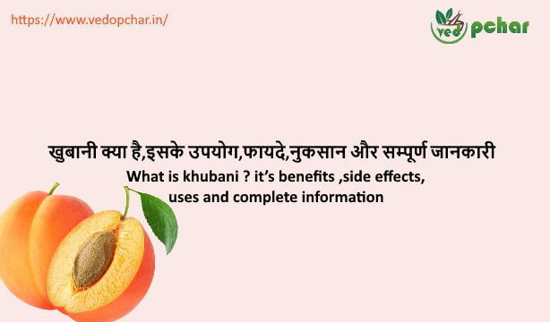 Apricot in Hindi