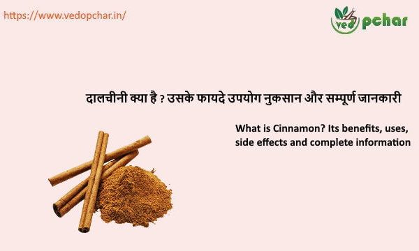 Cinnamon in hindi : दालचीनी क्या है ? उसके फायदे उपयोग नुकसान और सम्पूर्ण जानकारी