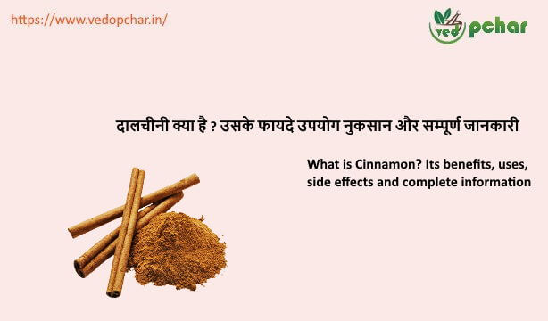 Cinnamon in hindi